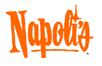 naplogo.gif (2888 bytes)